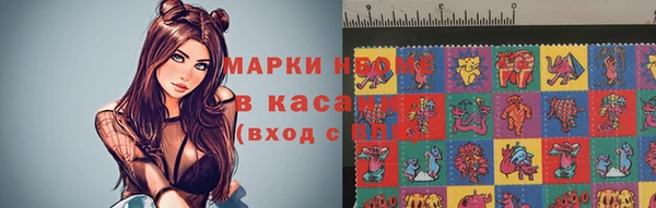 хмурый Аркадак