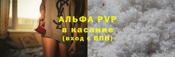 хмурый Аркадак
