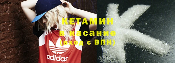 хмурый Аркадак
