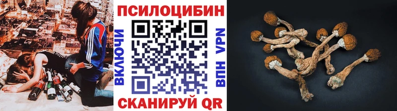 Псилоцибиновые грибы Magic Shrooms  Тейково 